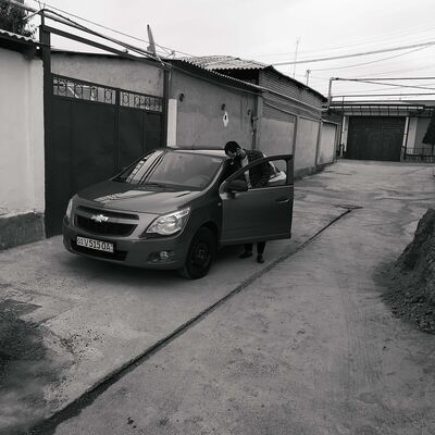  ,   Baxodir, 31 ,     , c 