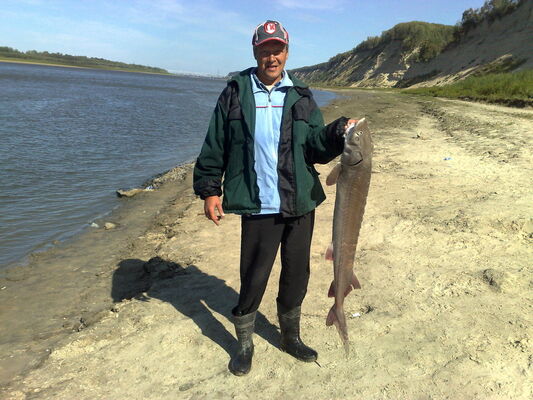  ,   Volody, 51 ,   ,   , c 