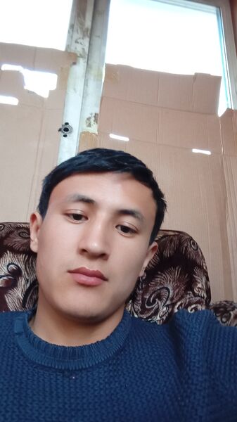  -,   ODIL, 25 ,   ,   