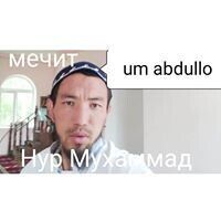  20586289  , 34 ,    