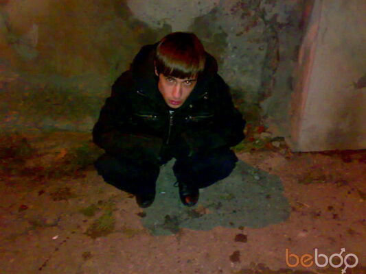  ,   Violence, 33 ,   