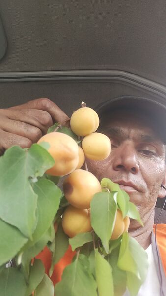  ,   , 40 ,   ,   
