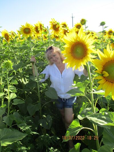  ,   Inessa, 50 ,     , c 