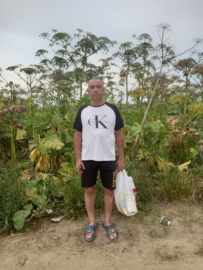  ,   , 54 ,   ,   