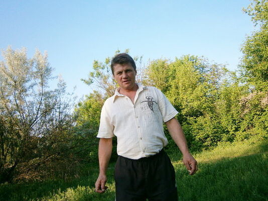  ,   , 53 ,   