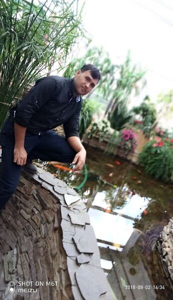  ,   Timur, 37 ,   ,   , c 