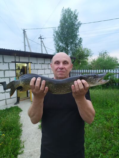   ,   , 59 ,   ,   