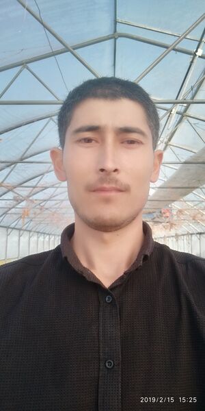  -,   , 39 ,   