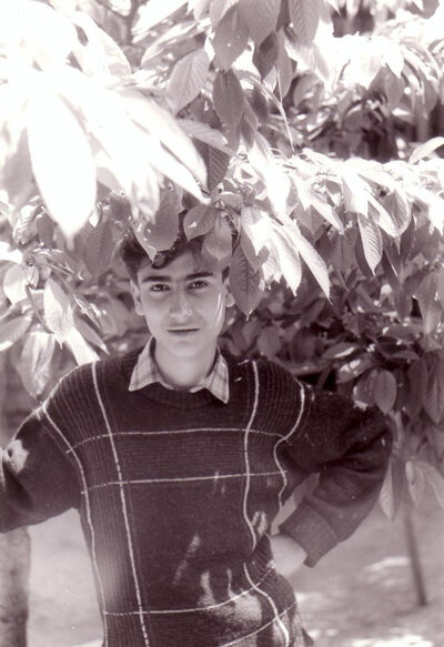  Ashqelon,   , 47 ,   ,   , c 