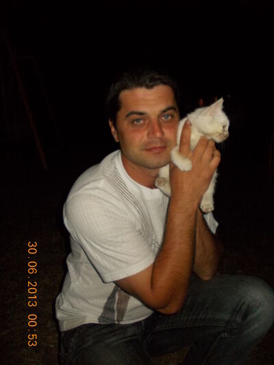  ,   , 43 ,  