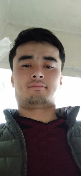  ,   ALI, 29 ,   ,   , c 