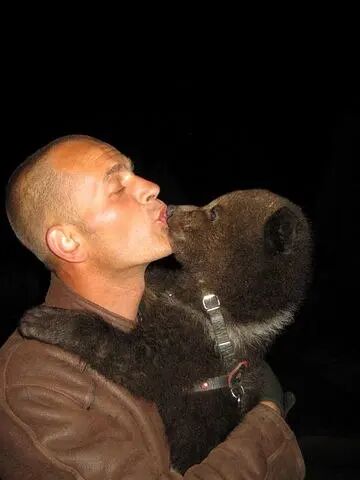  50641809  Alex, 46 ,    -