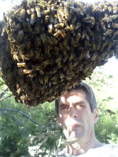  ,   , 52 ,   ,   , c 