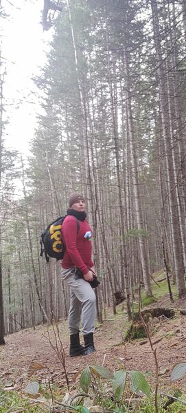  ,   Denis, 25 ,   ,   , c , 
