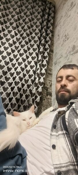   ,   Ayaz, 36 ,   ,   