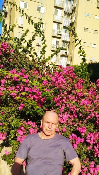  Ashqelon,   Yurii, 66 ,     , c 