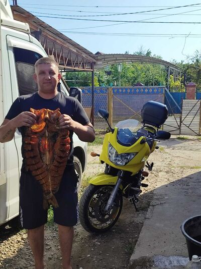  ,   , 35 ,   ,   