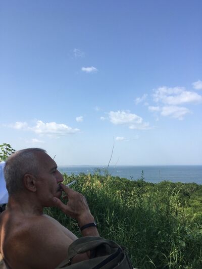  ,   , 54 ,   ,   