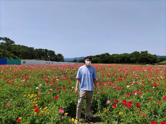  Ulsan,   Zorikto, 30 ,     , c 