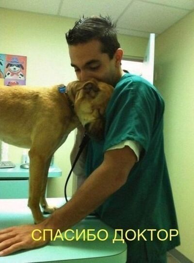  ,   Raf, 31 ,   ,   , c 