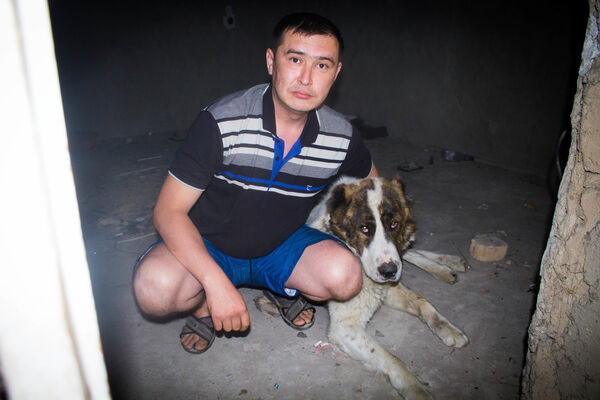  ,   Aman, 43 ,   ,   , c 
