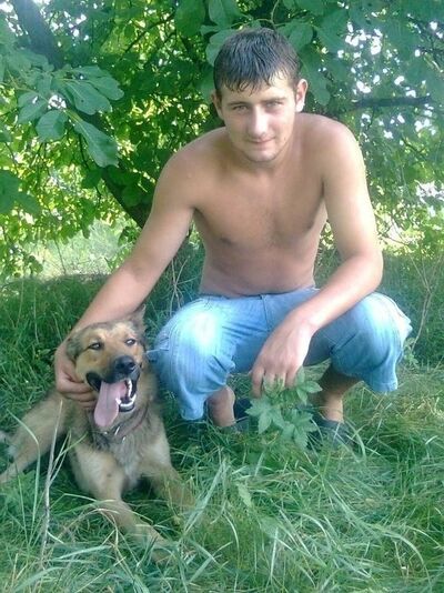  Jelcz,   , 32 ,   