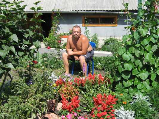  ,   , 54 ,   
