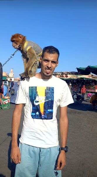  Pointe-a-Pitre,   Charifo, 31 ,   ,   , c , 