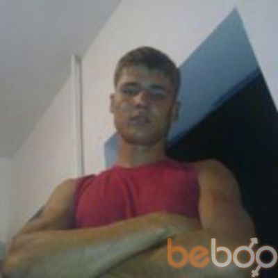  ,   PITBULL, 37 ,   , 