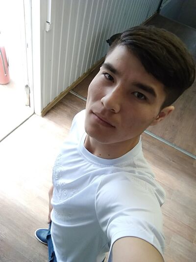   ,   Alimardon, 31 ,   ,   , c 