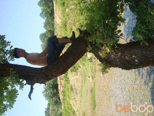  ,   Urus, 36 ,  