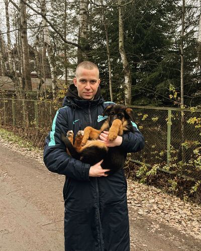  -,   , 29 ,   ,   , c 