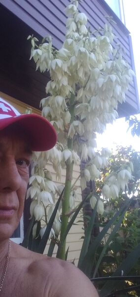  ,   , 55 ,   ,   