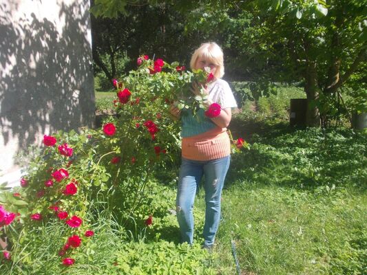  ,   , 48 ,   