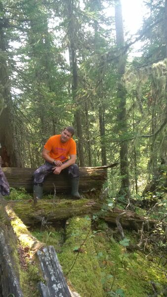  ,   , 54 ,   ,   , c , 