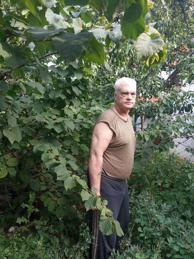  ,   , 66 ,     , c , 