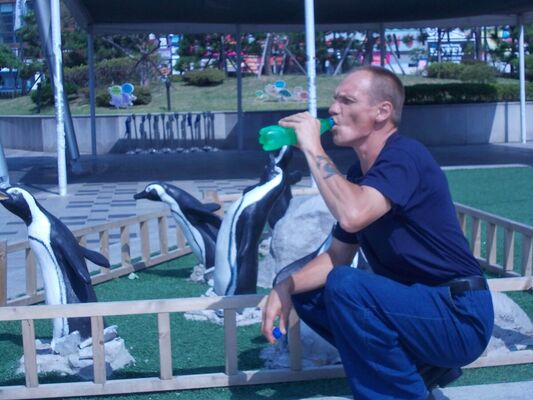  -,   , 54 ,   ,   , c , 