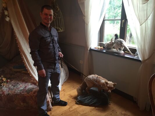  -,   , 41 ,   ,   , c 