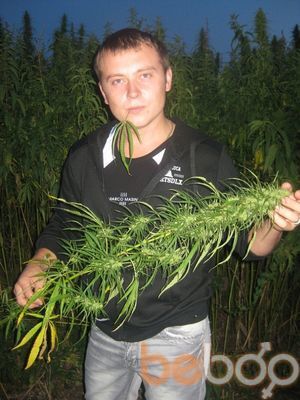  2831859  , 38 ,    -