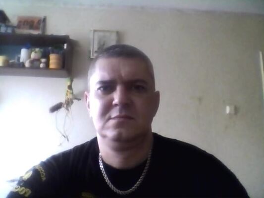   ,   , 49 ,   