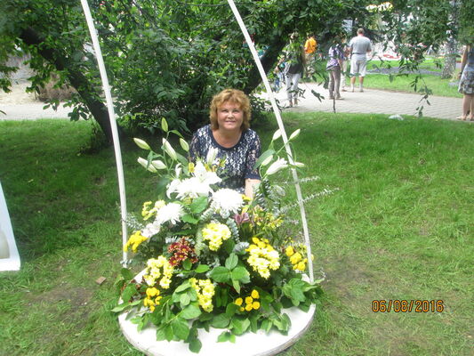  ,   , 65 ,   c 