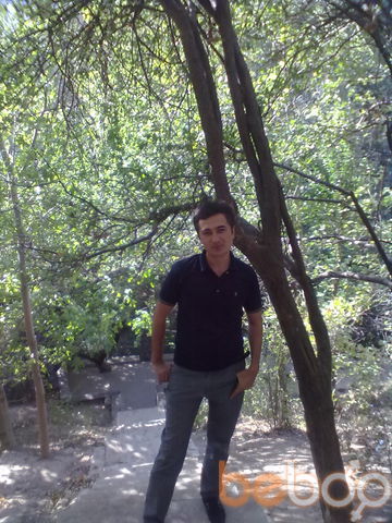  ,   DDDD, 44 ,  
