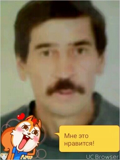  8260379  , 58 ,    