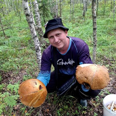  -,   , 33 ,   ,   , c 