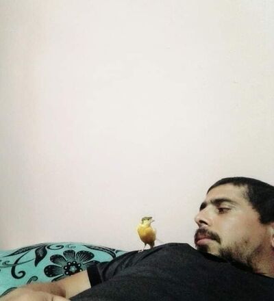  Algiers,   Fethizirg, 44 ,   ,   , c 