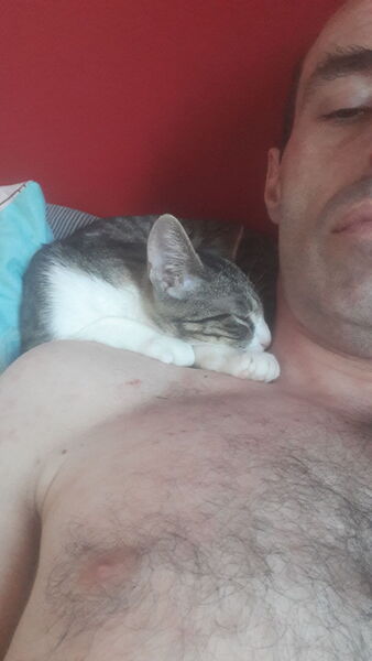  ,   , 44 ,   ,   