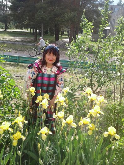  ,   , 66 ,   ,   
