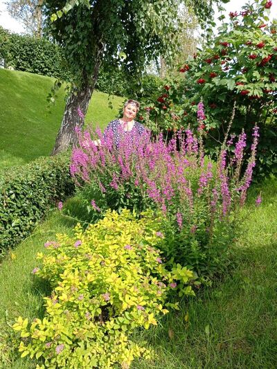  ,   Larisa, 63 ,     , c , 
