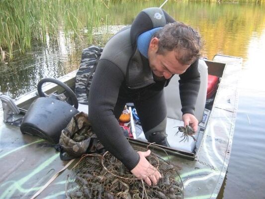  ,   , 63 ,   ,   , c 