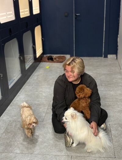  ,   , 20 ,   ,   , c , 